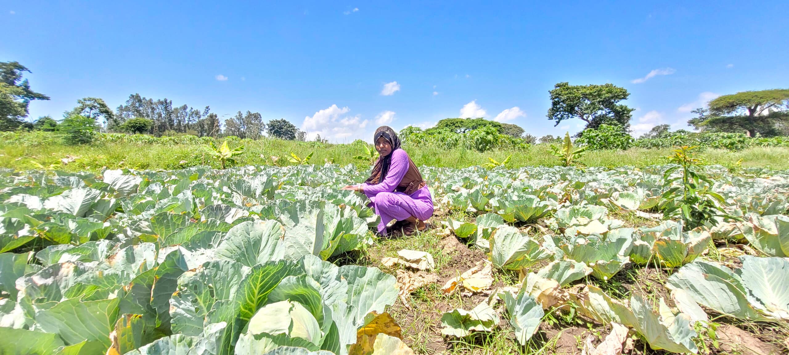 Senya at her farm in Woyiradijo Woreda, Ethiopia. Photo: Tirusew Teshale for IWMI