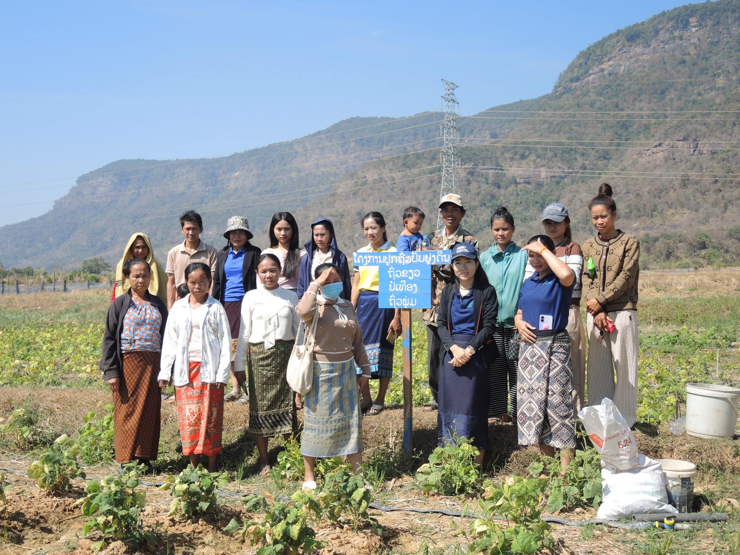 Neighboring farmers come to visit legumes fields of Bounyong Douanpanya, on February 10, 2026. Photo: Ammala Chantalath/IWMI