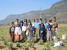 Neighboring farmers come to visit legumes fields of Bounyong Douanpanya, on February 10, 2026. Photo: Ammala Chantalath/IWMI