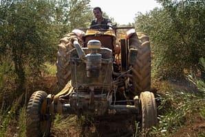 2025 03 22 Systems thinking and water conservation in Jordan 2