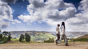 Science, community and land restoration