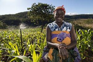 Mozambique launches digital platform to improve irrigation monitoring