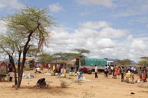 CGIAR launches Drought Action Catalyst to strengthen global resilience 