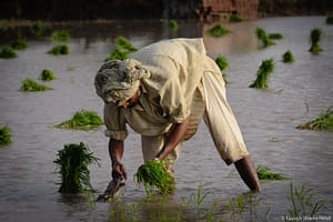 2025 07 07 Innovative solutions for agricultural sustainability in Pakistan 1