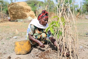 A blueprint for scalable water and waste solutions emerges in Ethiopia 
