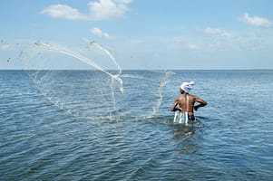 January-February 2026 Research Journal Roundup 