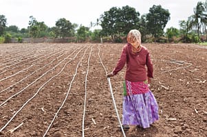 A woman helps to install drip irrigation pipes on a farm in India. Photo: Hamish John Appleby / IWMI