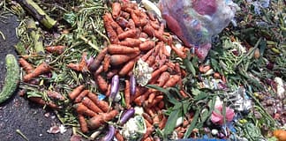 Waste not, want not Vegetable waste generated in the Colombo vegetable wholesale market (Photo: Nalaka Wickramasinghe/IWMI)
