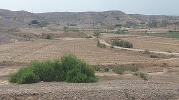 Mithawan hill torrent area. Photo: D.G. Khan