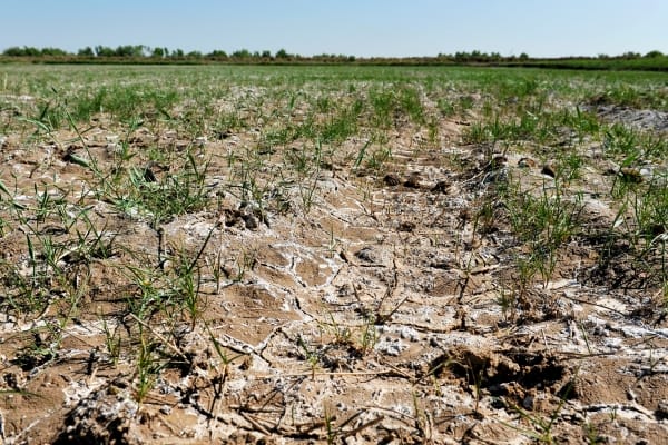 Photo: Neil Palmer / IWMI