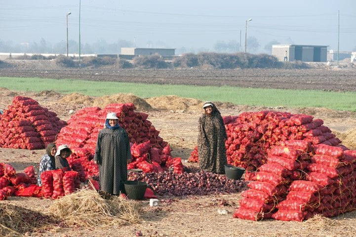Promoting gender equality through applied research for development that supports drought resilience and land restoration
