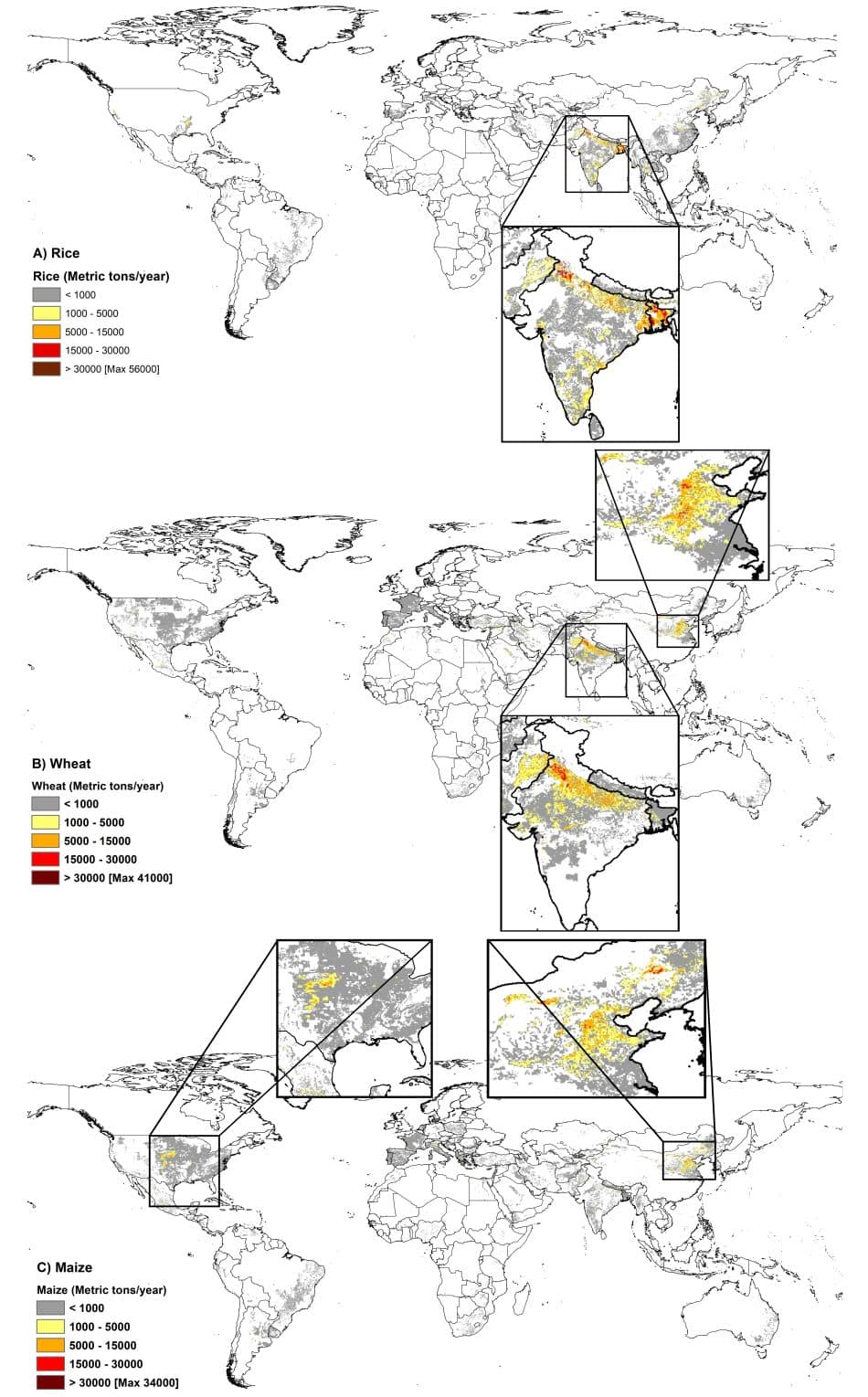 Global map of rice, wheat, and maize production from groundwater irrigation in high arsenic risk areas Global map of rice, wheat, and maize production from groundwater irrigation in high arsenic risk areas