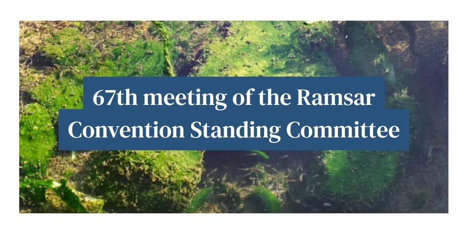 67th Meeting of the Standing Committee to the Convention of Wetlands