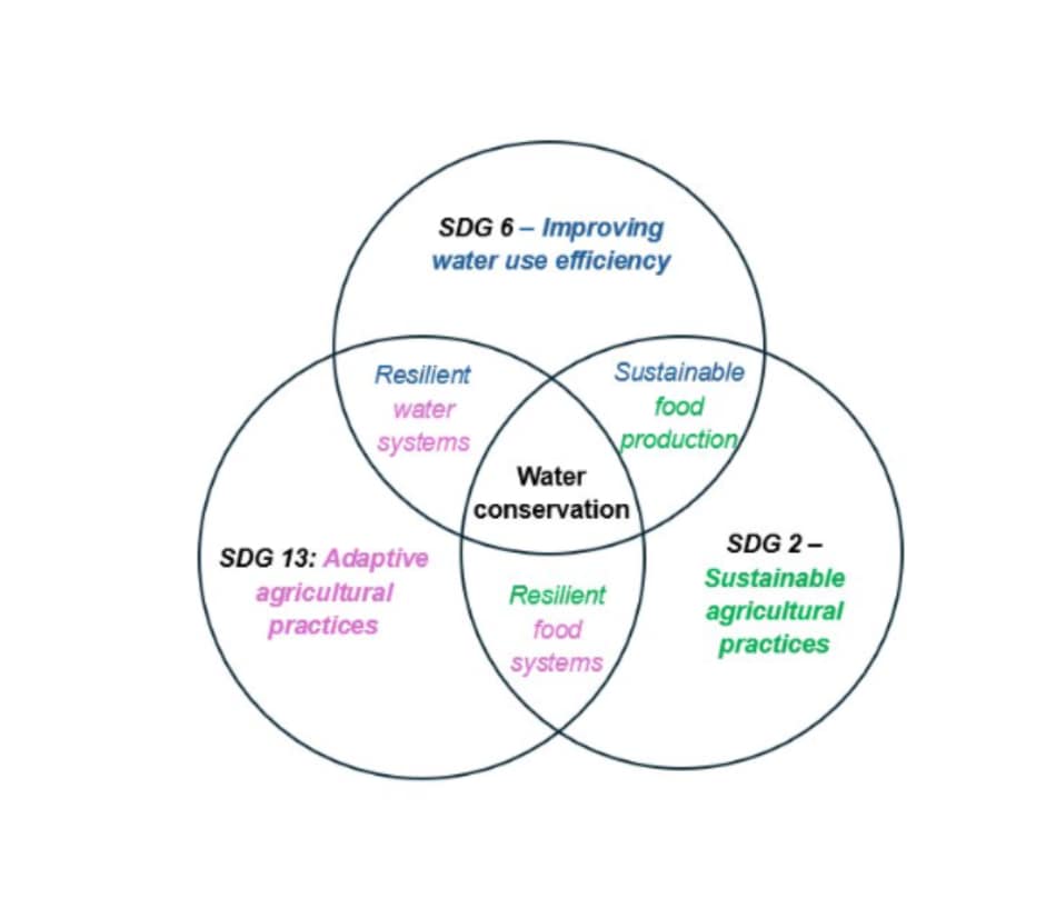 2025 03 22 Systems thinking and water conservation 3