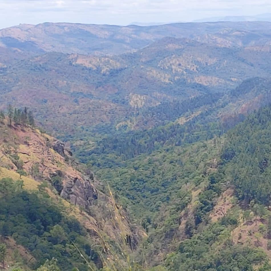 Forest fires consumed dry vegetation in Balangoda, Rathnapura district. Photo: Niranga Alahacoon/IWMI