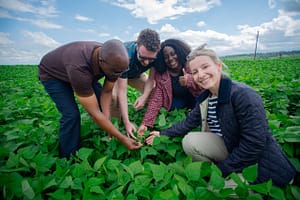 Tanzania seed sector development strategy