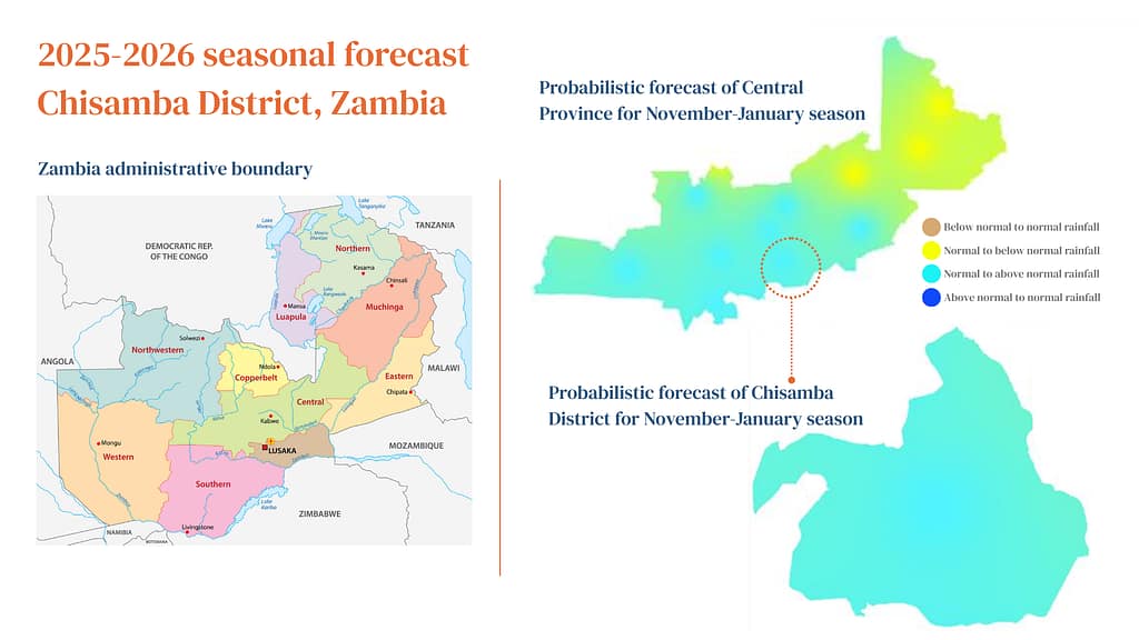 For the Chisamba district, the 2025-2026 seasonal forecast shows the likelihood of rainfall falling below, near or above normal rainfall levels. These forecasts are instrumental in helping farmers prepare for shifting rainfall patterns. It guides their decisions on planting, water management and risk reduction. Graphic: IWMI
