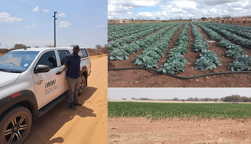 Drip (a) and center-pivot (b) irrigation systems in Limpopo. Photo: IWMI