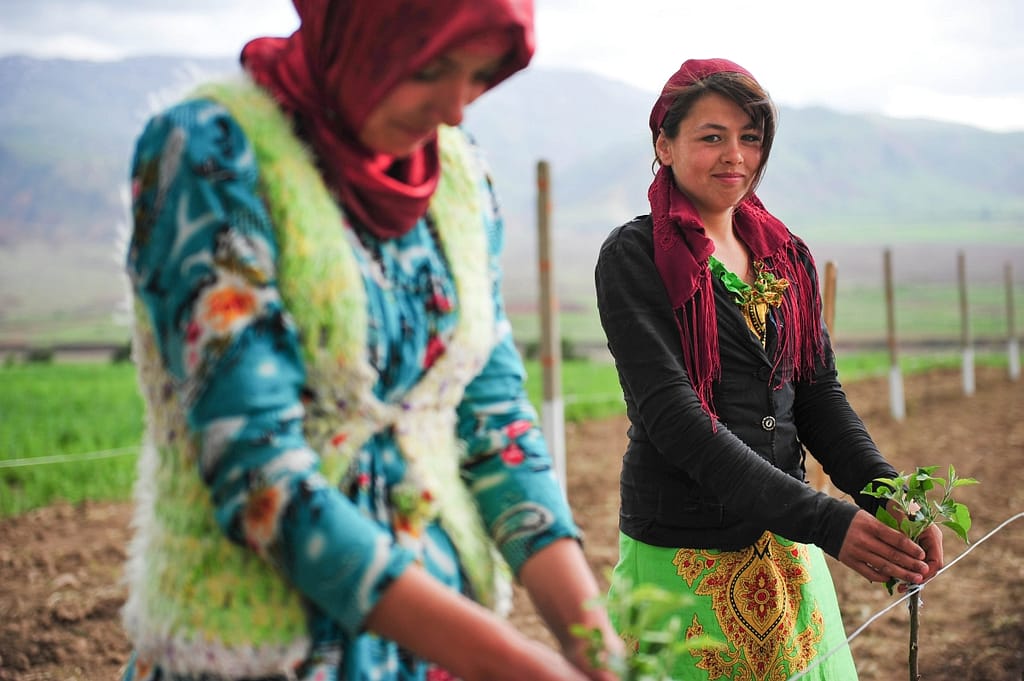 Farmers work their fields in Uzbekistan, Central Asia, where questions of food access and equity remain central despite decades of growth in agricultural production. Photo: Neil Palmer/IWMI