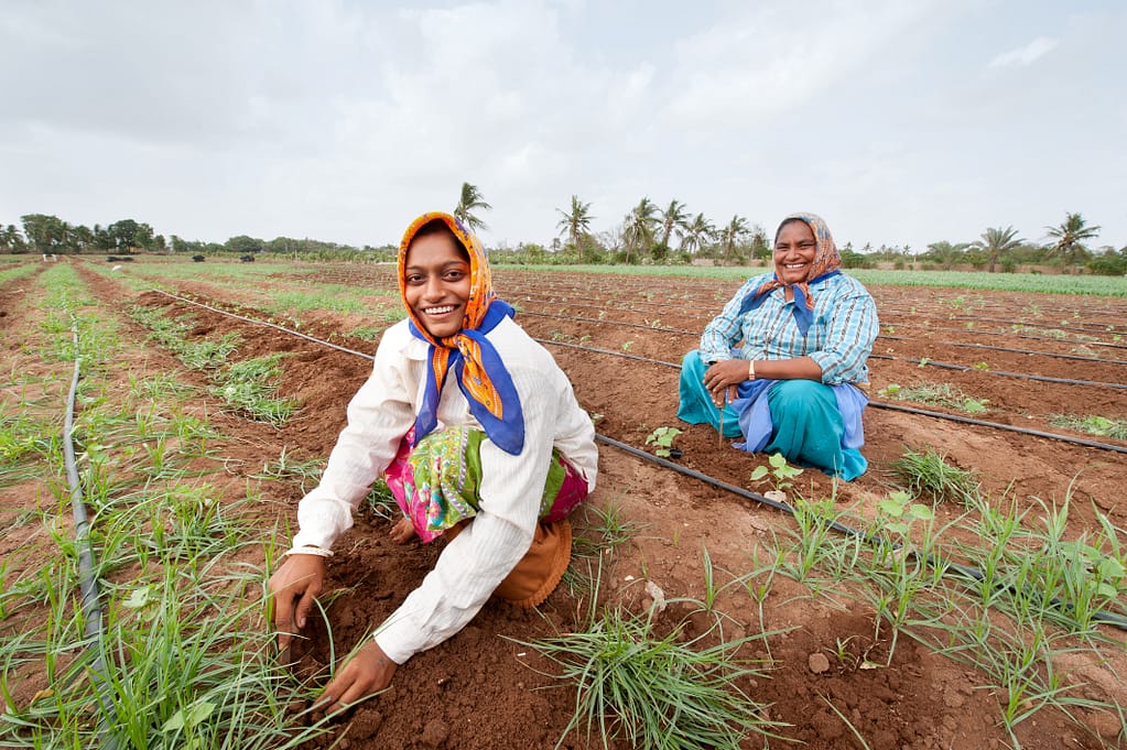 Women working on a farm in Tamil Nadu. Hamish John Appleby/IWMI