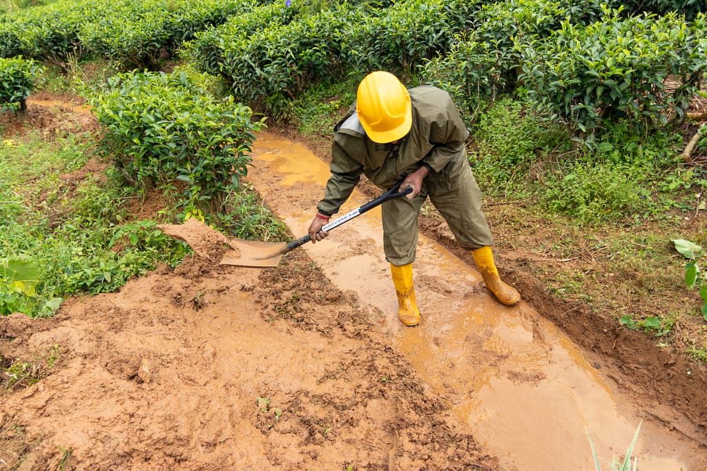 Kotagala Photo story - ClimBeR 1