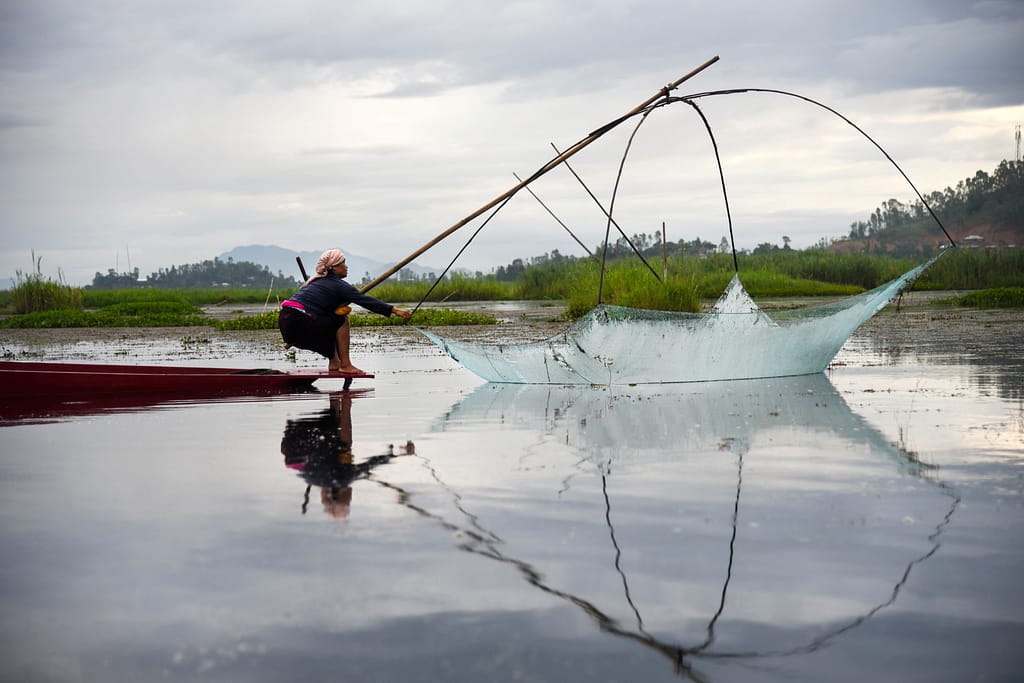 A woman fisher catches fish in Loktak Lake using traditional fishing gears, reflecting generations of indigenous knowledge and wetland-based livelihoods in Manipur, India. Photo: Tanmoy Bhaduri/IWMI
