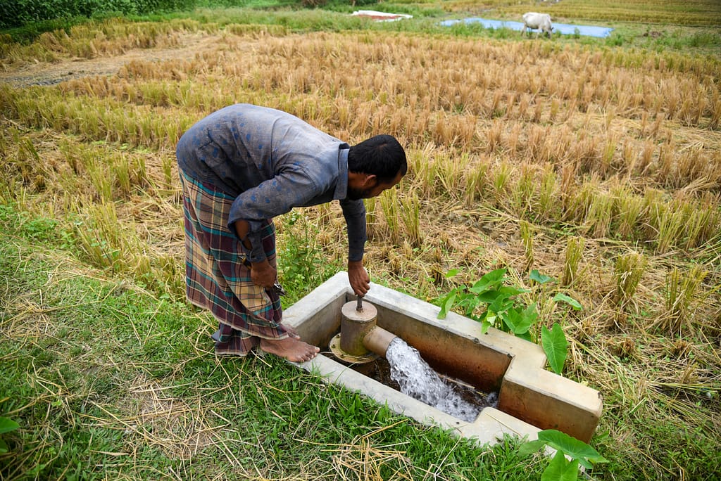 A farmer opens the water connection pipe to flood his paddy field in Thakurgaon, Bangladesh. The irrigation, supported by a Solar Irrigation Pump (SIP) installed by IDCOL and its partner organization, helps ensure timely water access and improved crop productivity. Photo: Tanmoy Bhaduri/IWMI