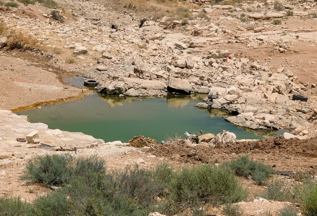 IWMI and Jordan’s private sector collaborate 1