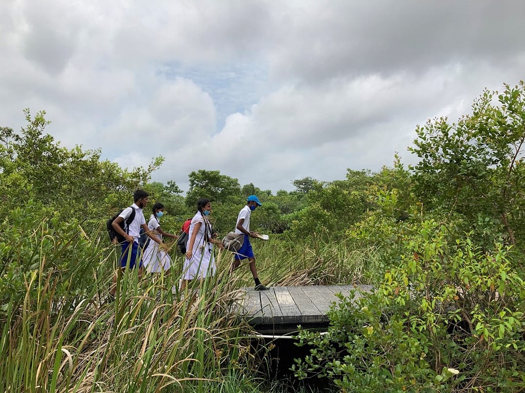 School children walking through Colombo's wetlands. Photo: Priyanie Amerasinghe IWMI