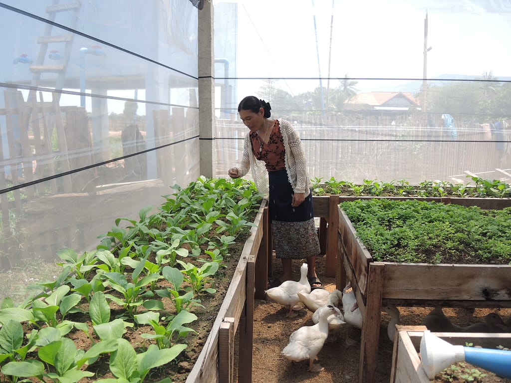 Lao Farmer in Greenhouse
