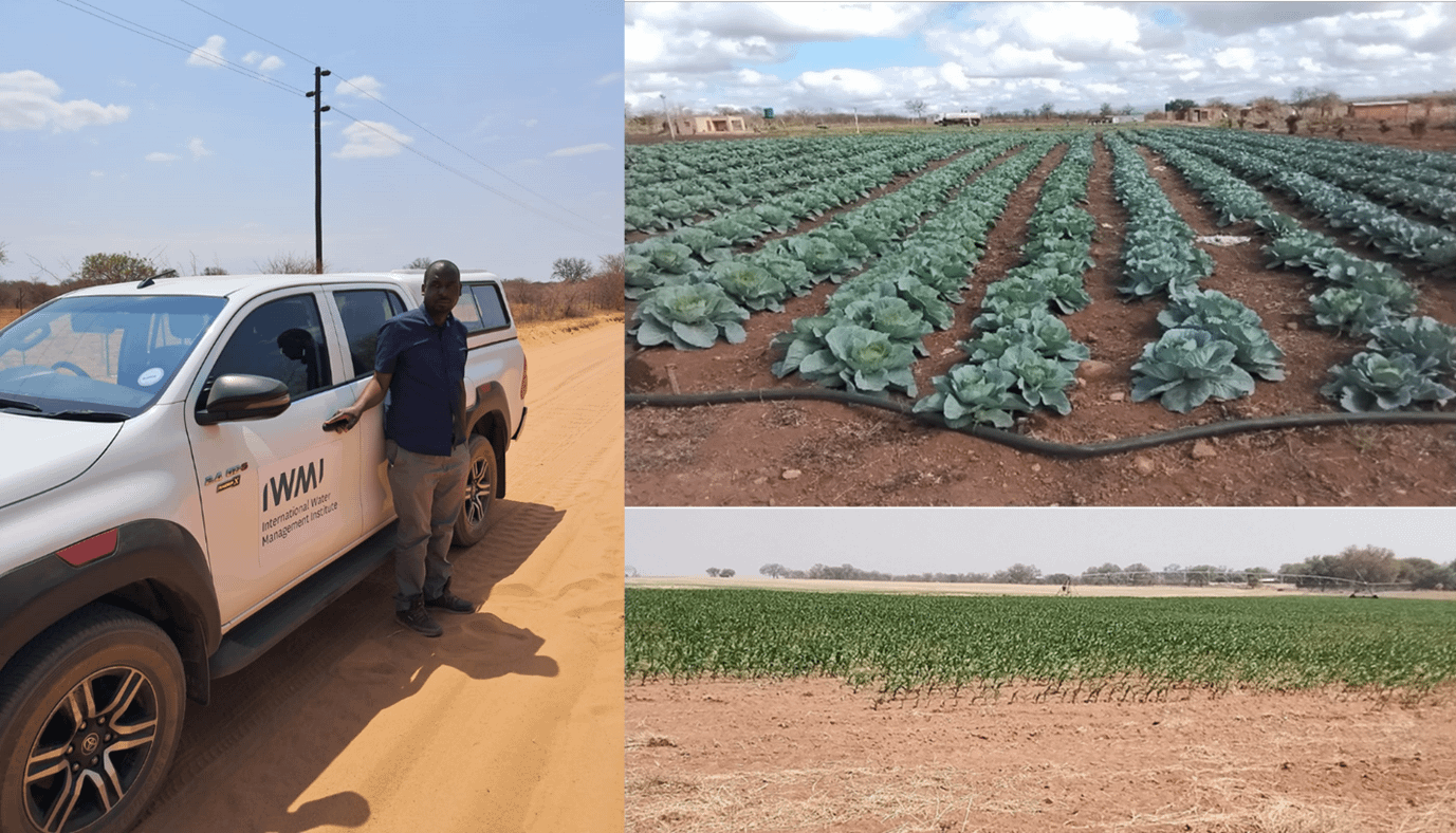 Drip (a) and center-pivot (b) irrigation systems in Limpopo. Photo: IWMI