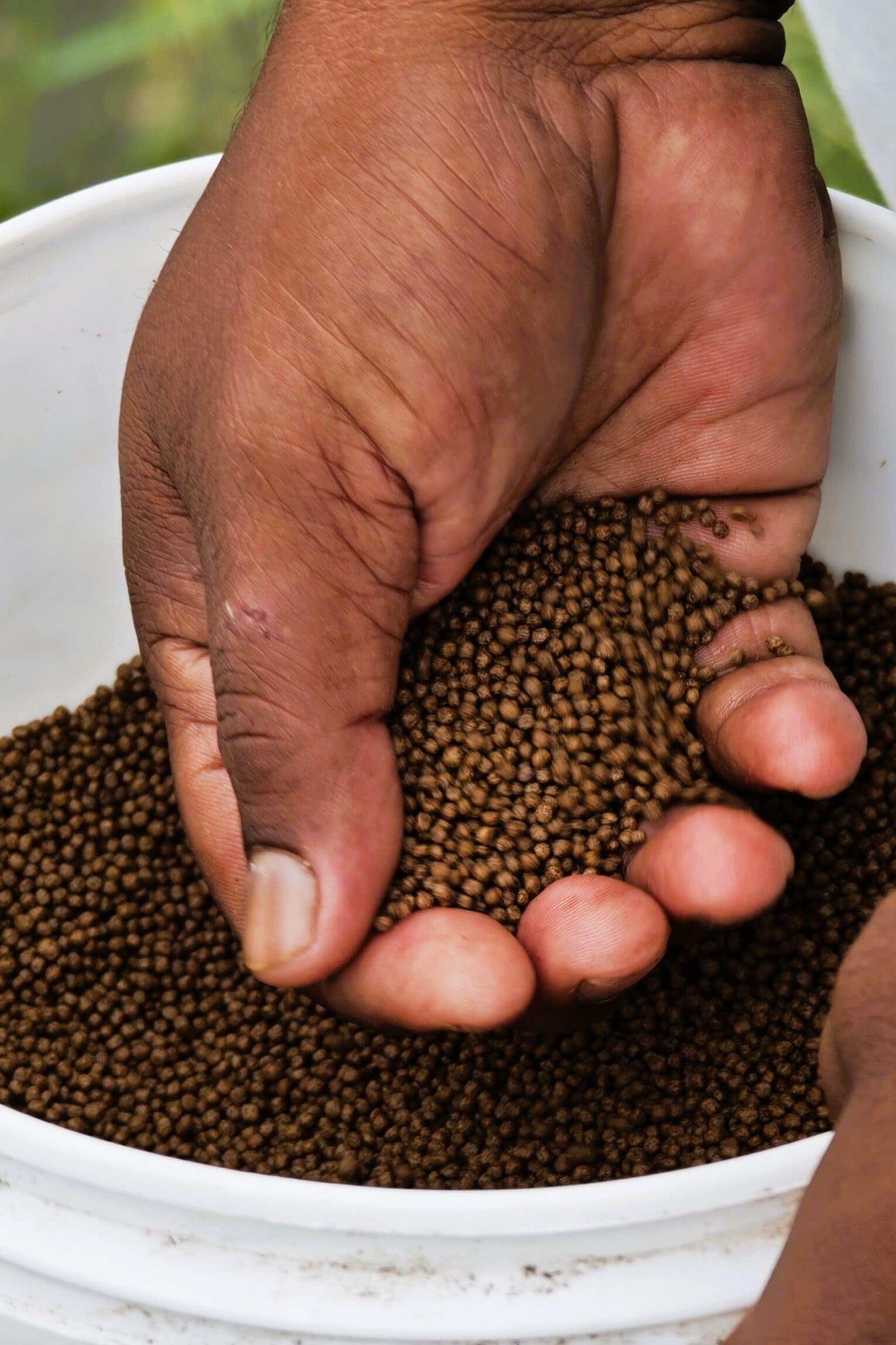 Feed is a major and costly input in running a fish breeding farm. Photo: Aayush Niroula/IWMI