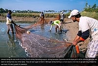 sustainable-livelihoods-info