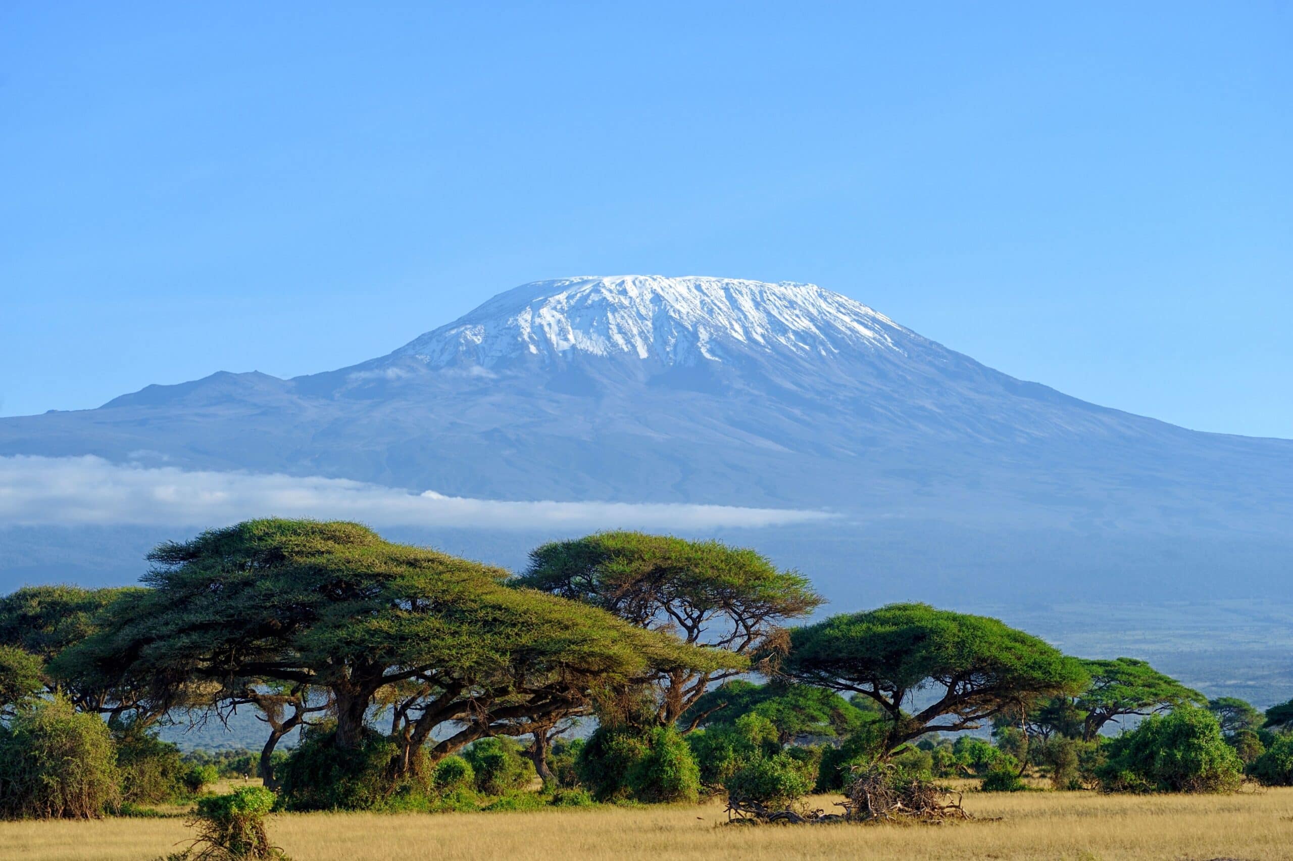 Snow on top of Mount Kilimanjaro in Amboseli (Shutterstock)