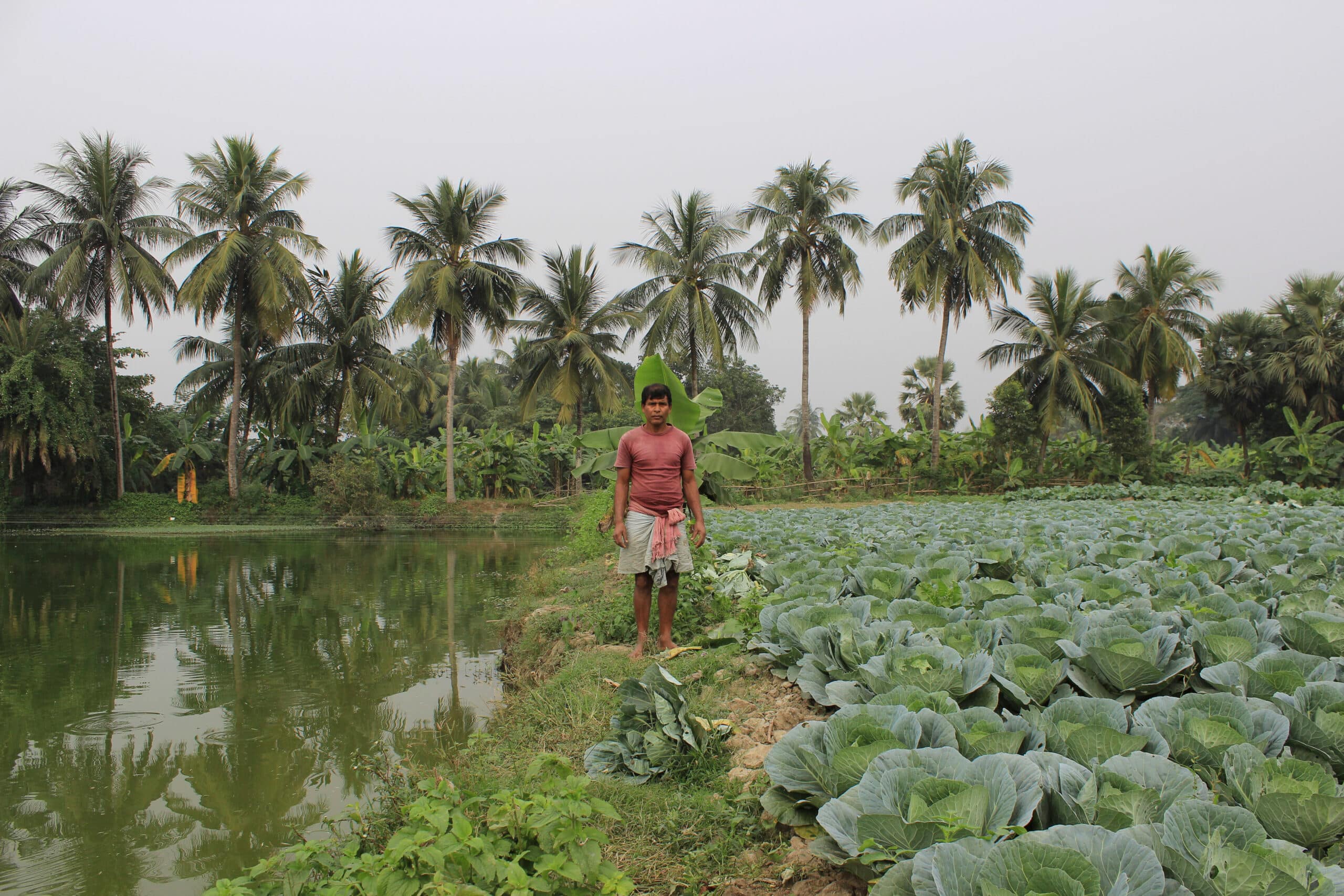 Agricultural fields and Aquacultural areas lie side by side
