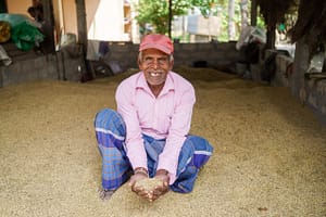 Thampi Dhanapalasingham, a farmer from Nallur, at home with his paddy harvest. Photo: Pradeep Liyanage/IWMI