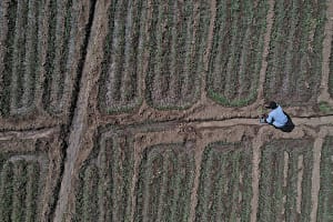 Digital tools to address data gaps facing Ethiopian farmers