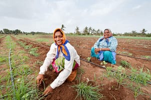 Women working on a farm in Tamil Nadu. Hamish John Appleby/IWMI