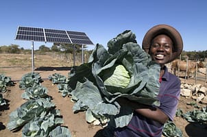 Promoting youth-led innovation to build climate-smart agribusiness solutions