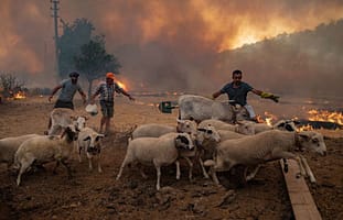 Bloomberg Green: Global Warming Is Outrunning Efforts to Protect Human Life, Scientists Warn