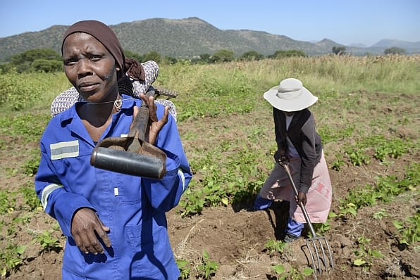 Communal farmers, Rina Monama (Blue overall) and Lebo Phuku (pink dress) work in the fields.