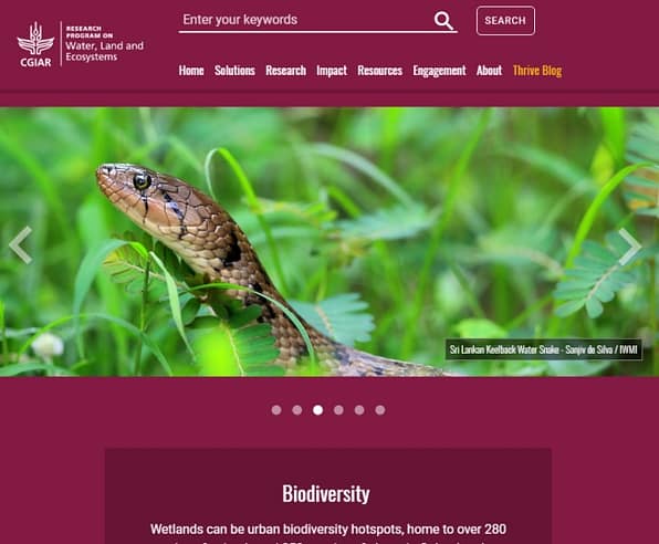 Read the full story on the Thrive blog Read the full story on the Thrive blog