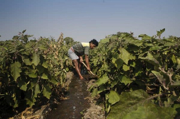 Using wastewater for agriculture