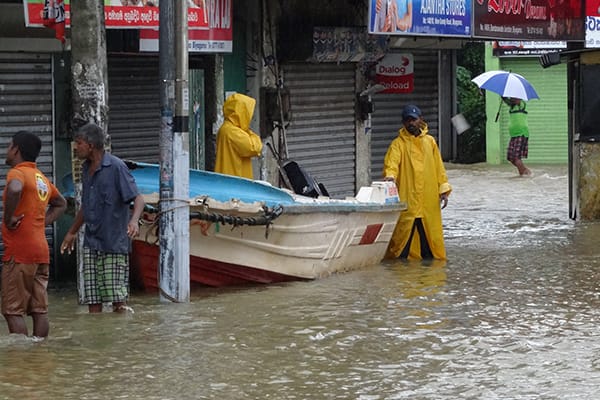 Location: Biyagama, Sri Lanka