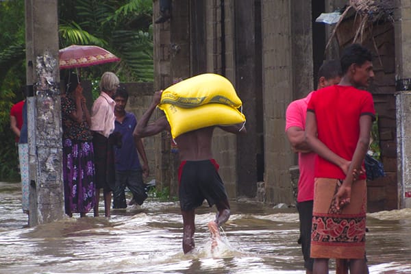 Location: Biyagama, Sri Lanka