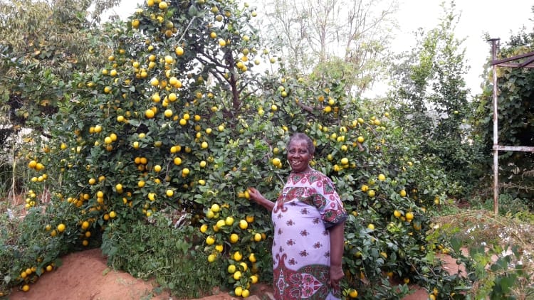 Barbara van Koppen, Rural Sociologist and Gender Expert, South Africa