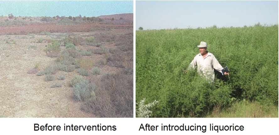 Before and after interventions