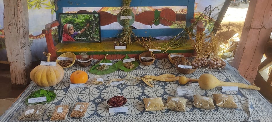 Native fruits and vegetables found only in the forests of Maharashtra, India