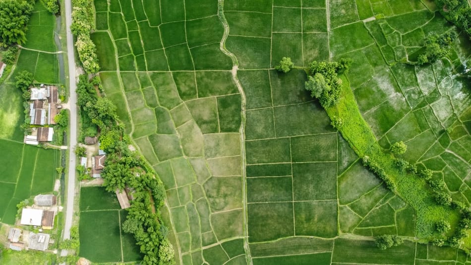 Arial view of irrigated lands with Babai irrigation channel in Judipur vilalage, Bar Bardiya Municipality, Bardiya, Nepal. Photo: Nabin Baral / IWMI