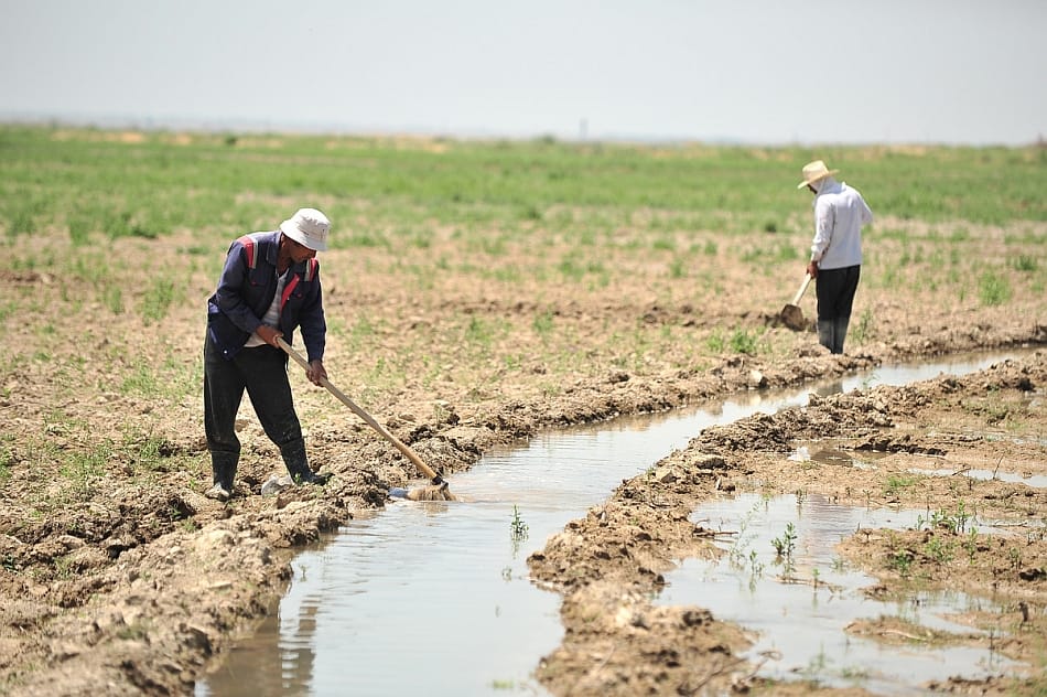 Farmer fixes edges of the waterway in a farm field in Central Asia. Photo: Neil Palmer / IWMI Farmer fixes edges of the waterway in a farm field in Central Asia. Photo: Neil Palmer / IWMI
